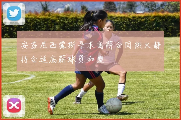 安芬尼西蒙斯寻求高薪合同热火静待合适底薪球员加盟